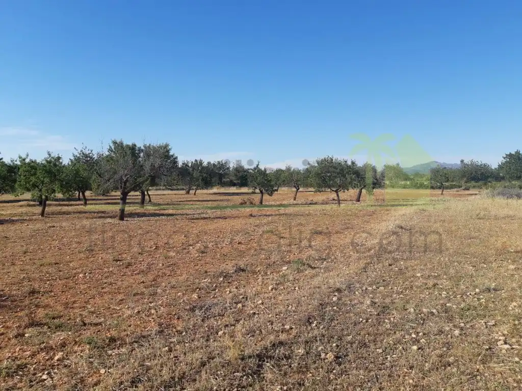 Terreno residencial en venta en Pueblo, imagen 9