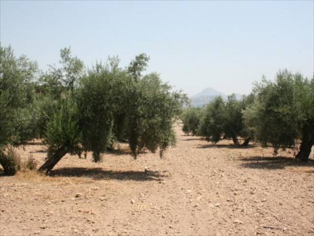 Terreno residencial en Venta en Jauja