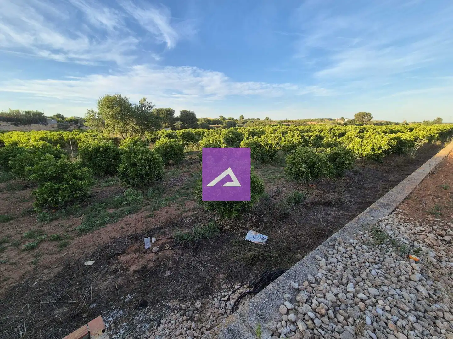 Land for sale in Picassent