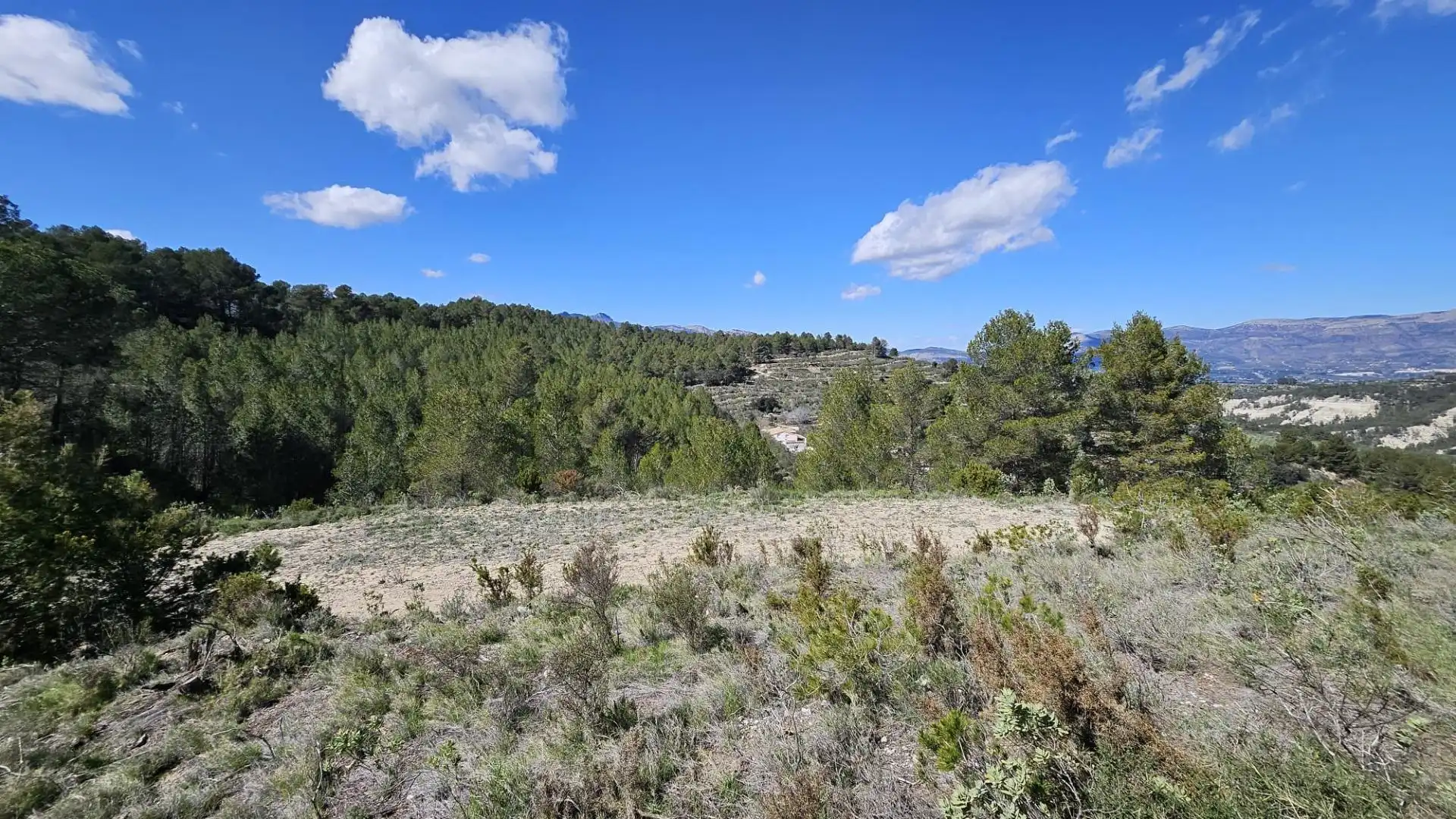 Terrain rustique à vendre à Millena, imagen 24