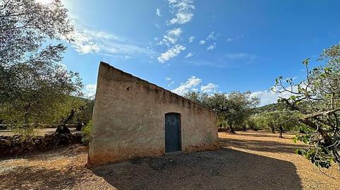 Photo 2 of Residential for sale in Freginals, Tarragona