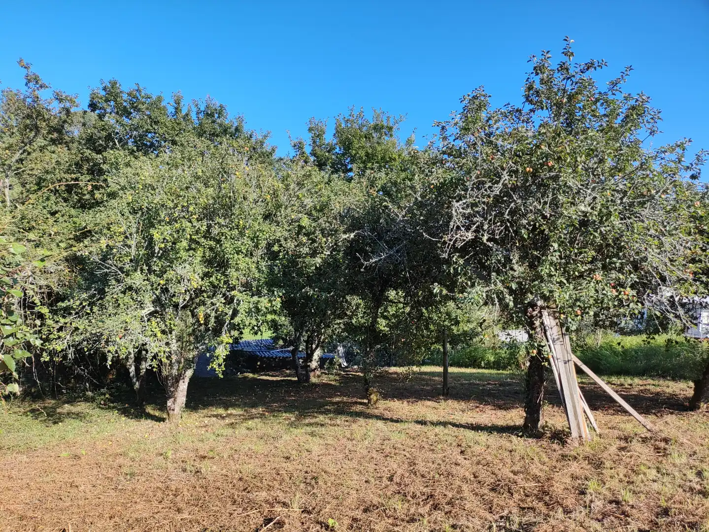 Wohnbaugrundstück zum Verkauf in Camiño Eixon 18, imagen 5