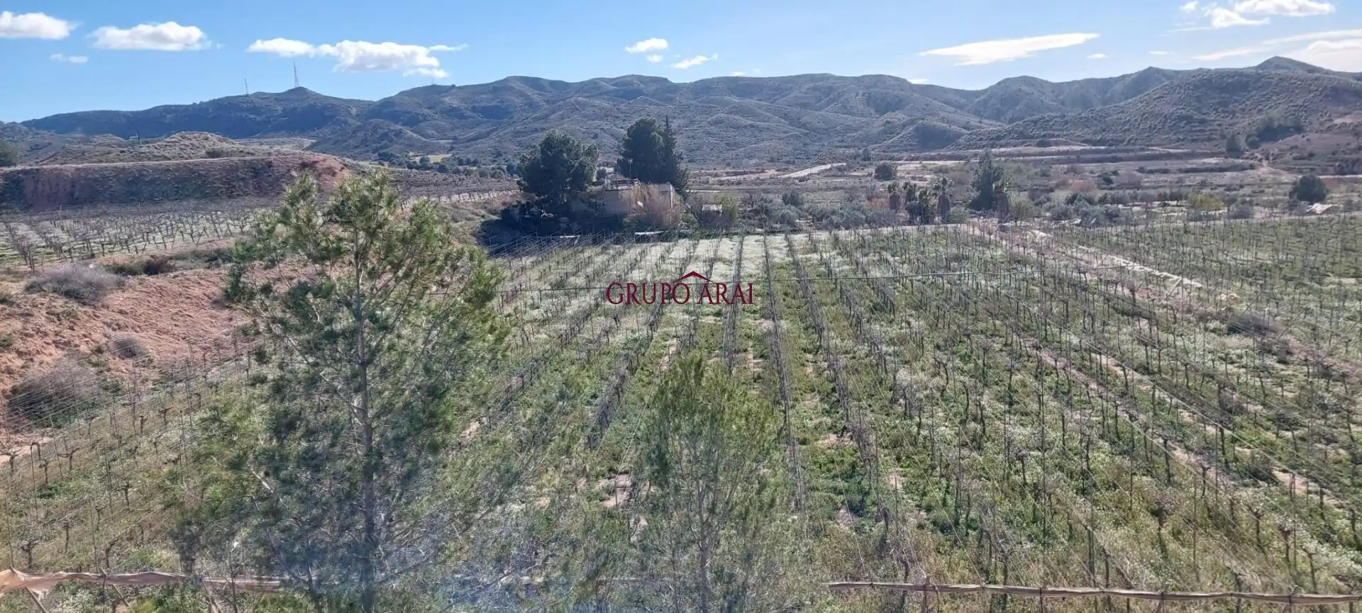 Terreno rústico en venta en Avenida del Mediterráneo, imagen 3