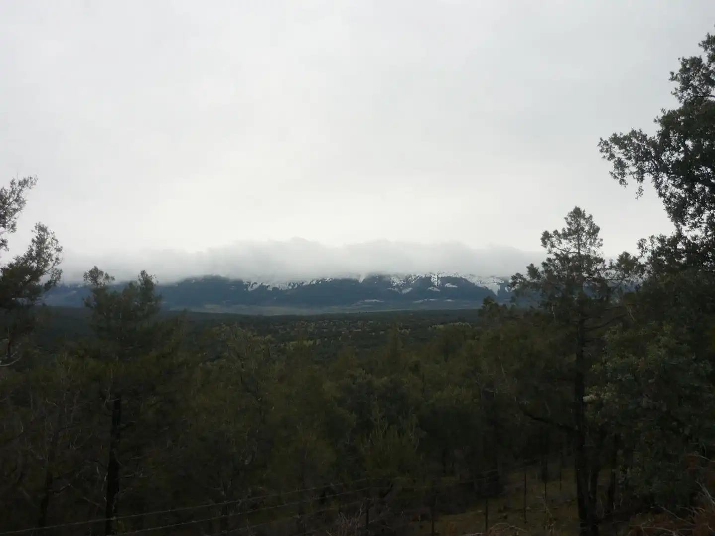Vista exterior de Terreno en venta en Pedraza