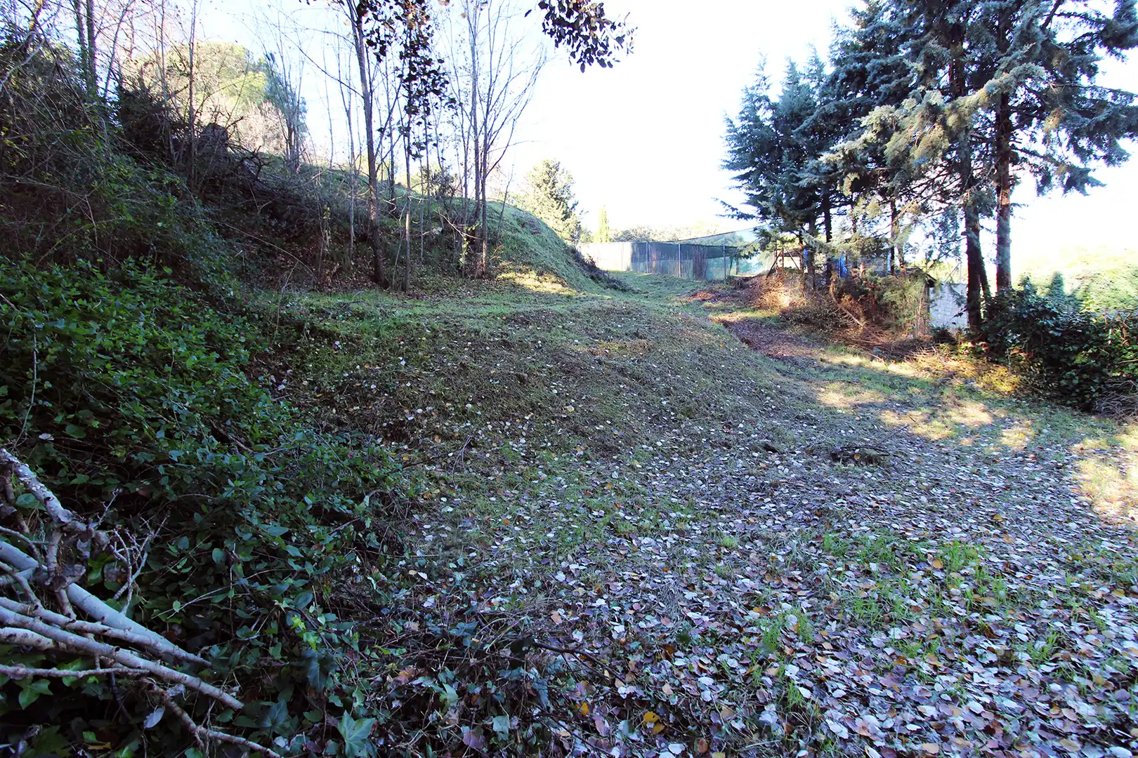 Terrain résidentiel à vendre à Calle Urbanización Peñarrubia, imagen 9