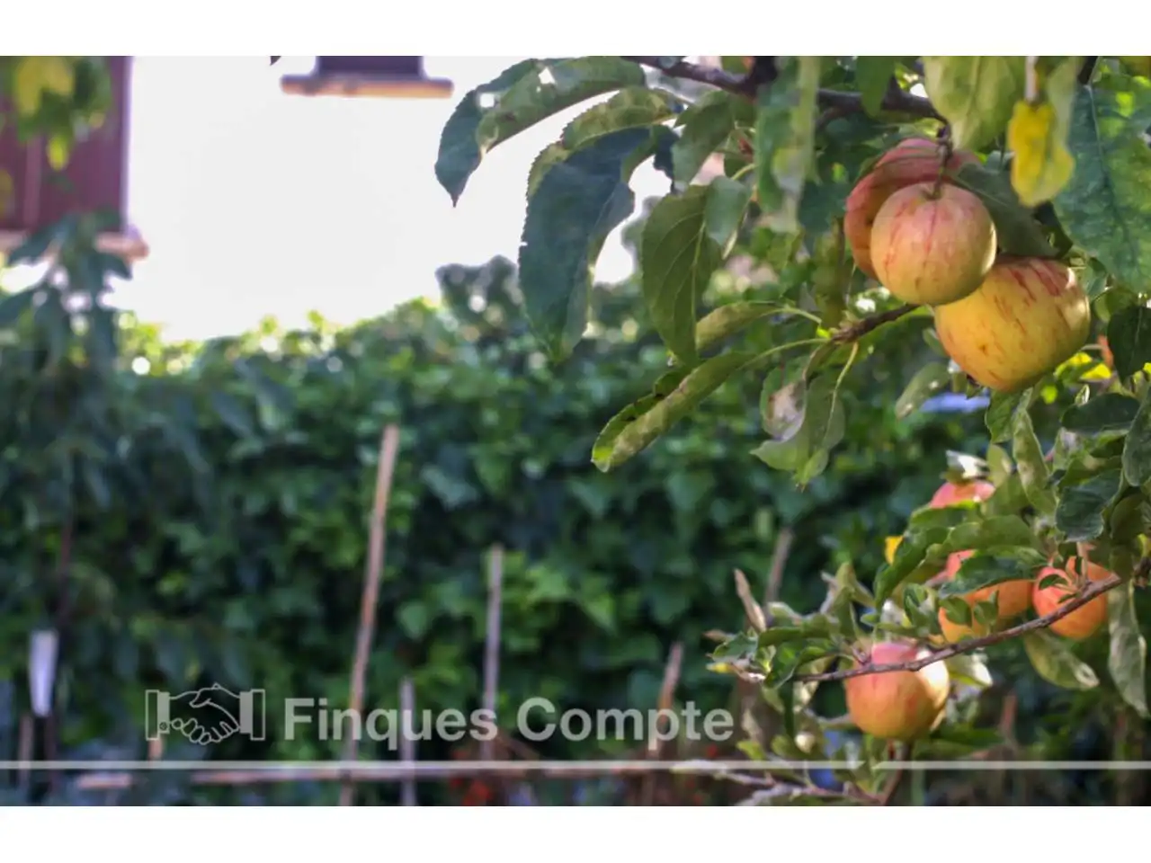 Garden of Country homes for sale in El Vendrell  with Private garden, Terrace and Swimming Pool
