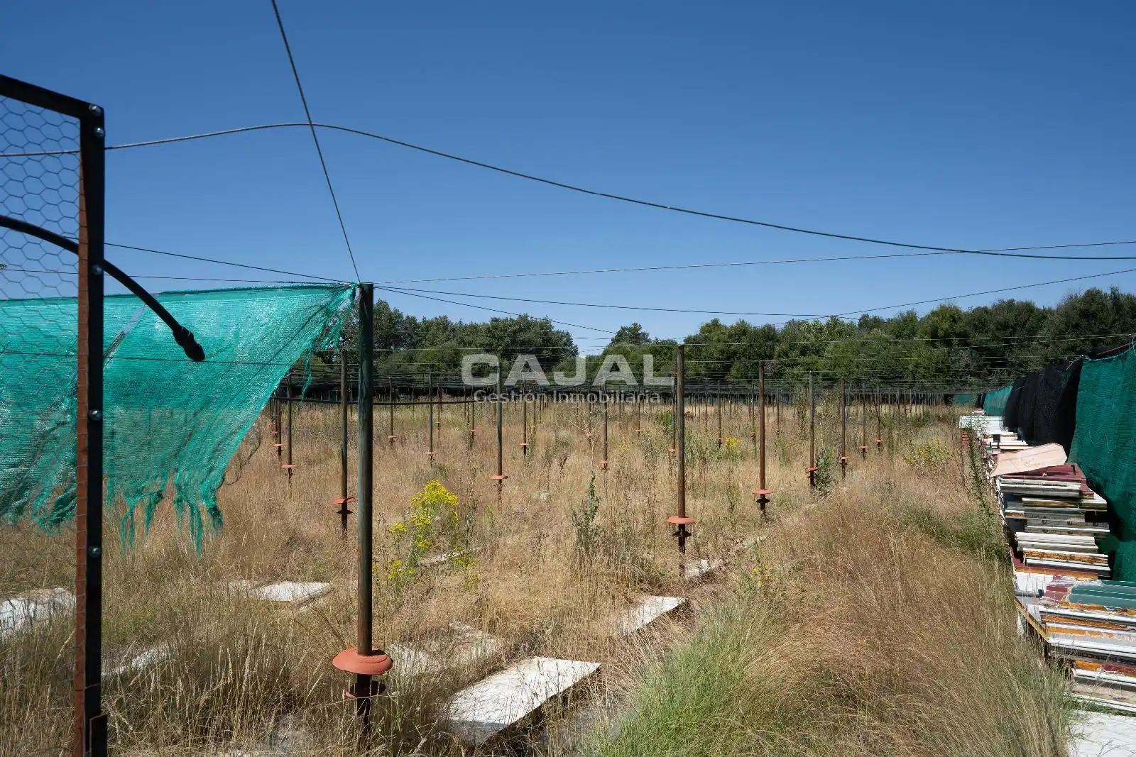 Terreno en venta en Fresno de Cantespino