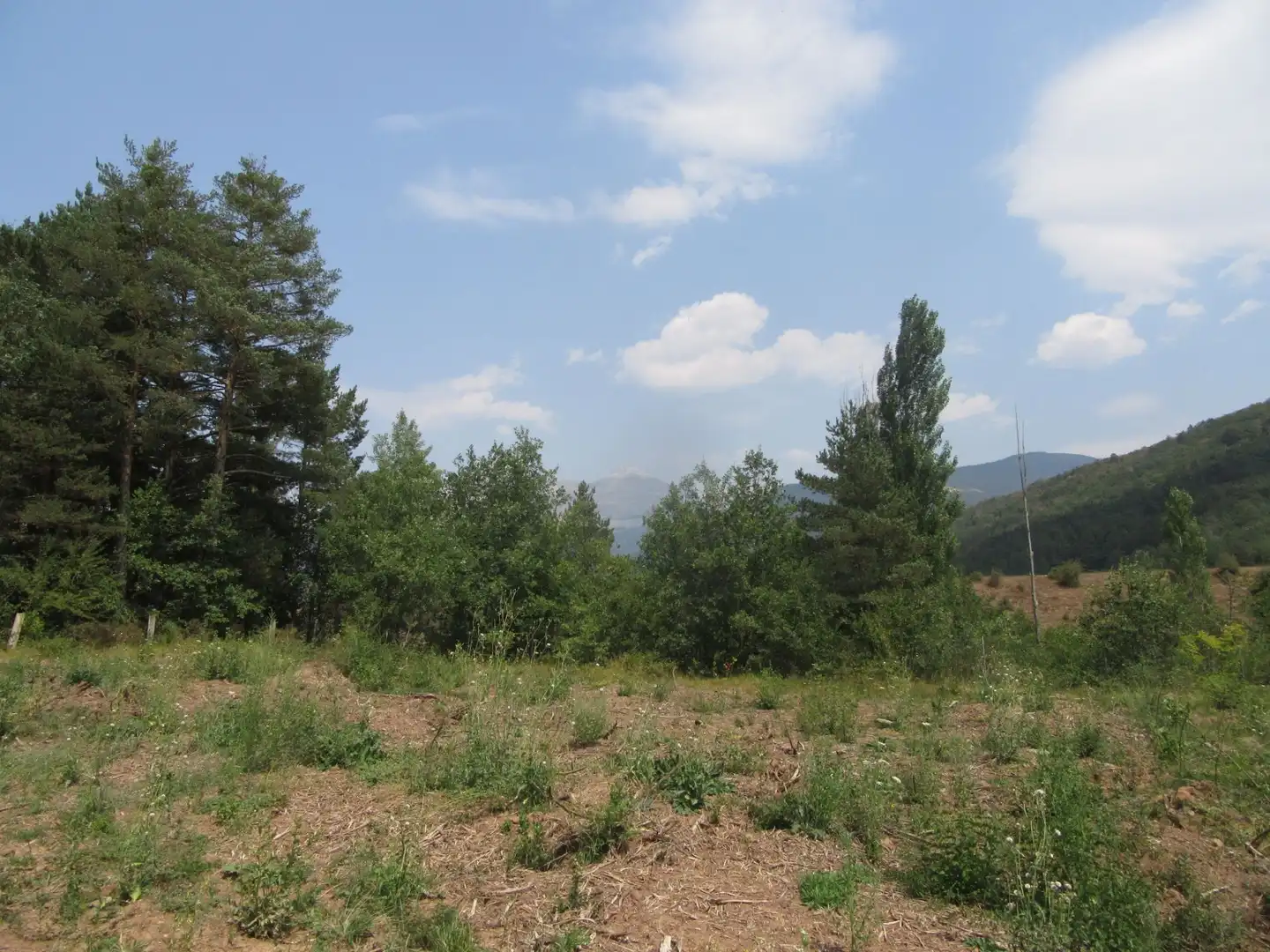 Terreni e lotti in vendita a Molino de Aratores