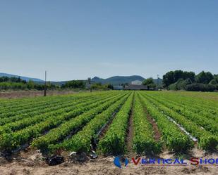 Residencial en venda en Caudete