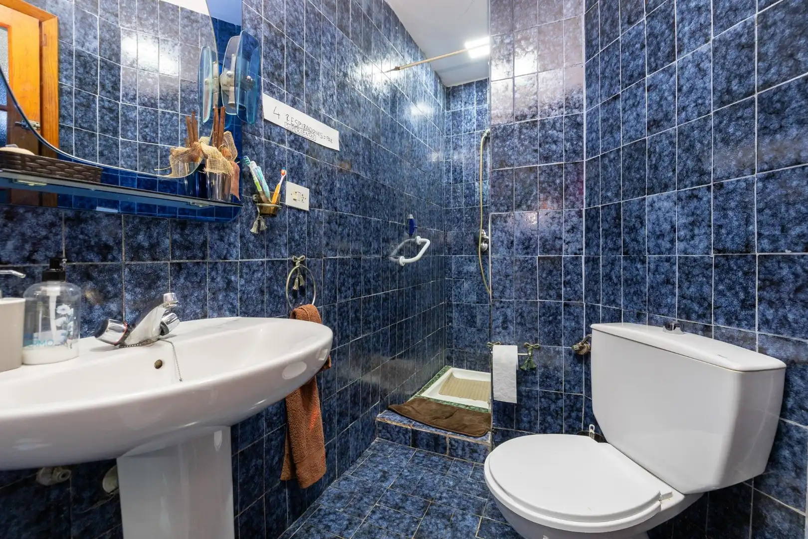 Baño de Casa o chalet en venta en Alhendín con Jardín privado y Terraza