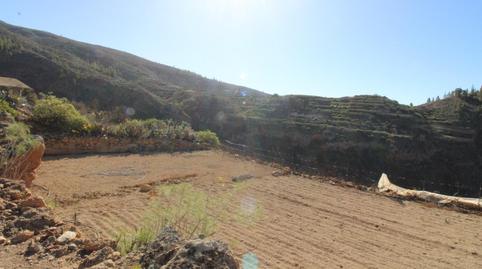 Foto 5 de Finca rústica en venta en Guía de Isora interior, Santa Cruz de Tenerife