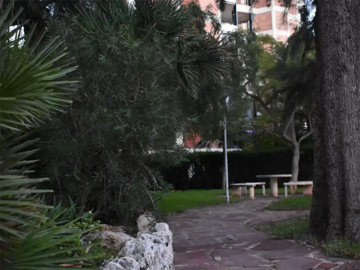 Vista exterior de Apartament en venda en Benicasim / Benicàssim