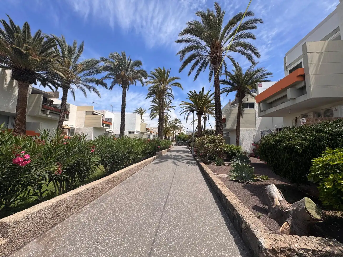 Vista exterior de Piso en venta en Arona con Jardín privado, Terraza y Amueblado