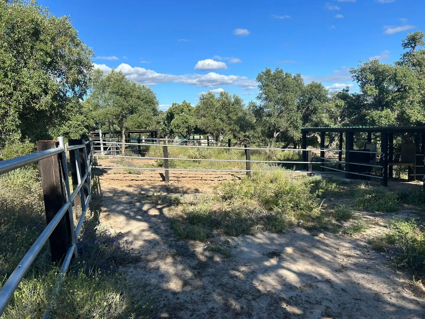 Finca rústica en venta en Alcalá de los Gazules