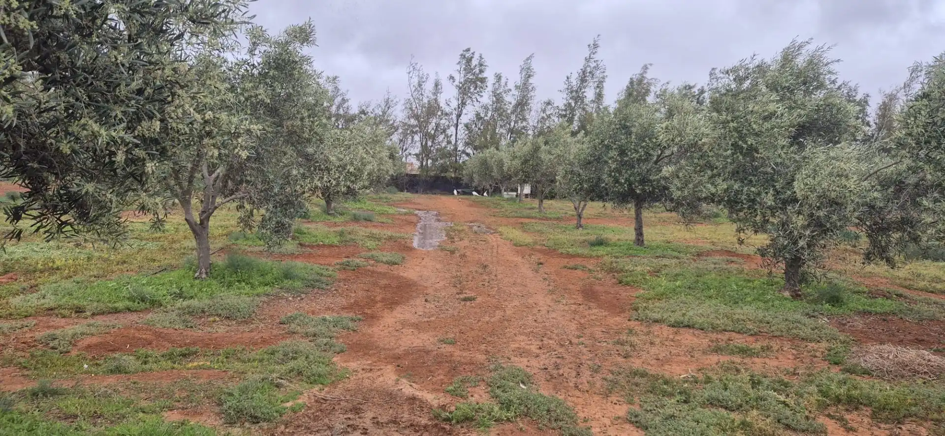Terreno en venta en Antigua
