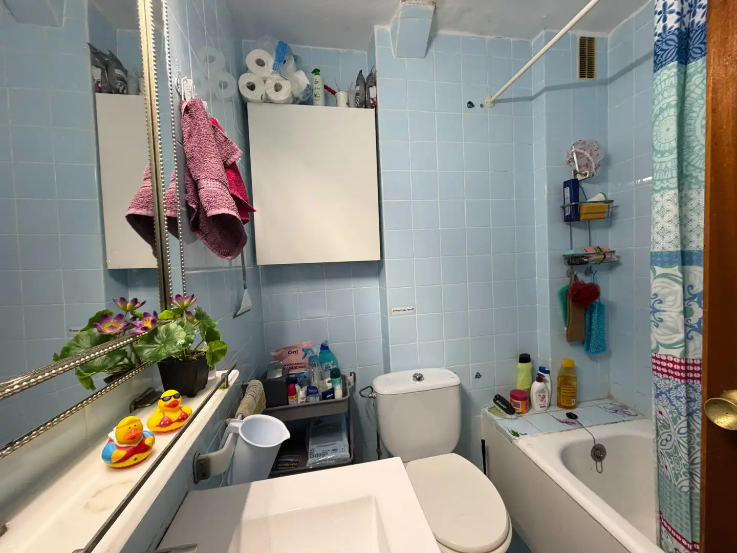 Piso en venta en Pla - Carolinas, imagen 12