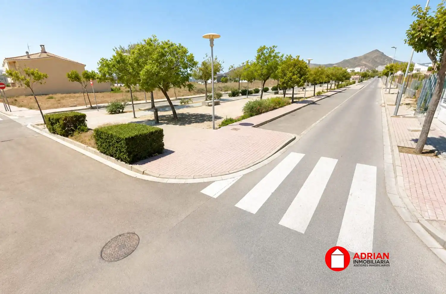 Terrenos y solares en venta en La Vall d'Uixó, imagen 3
