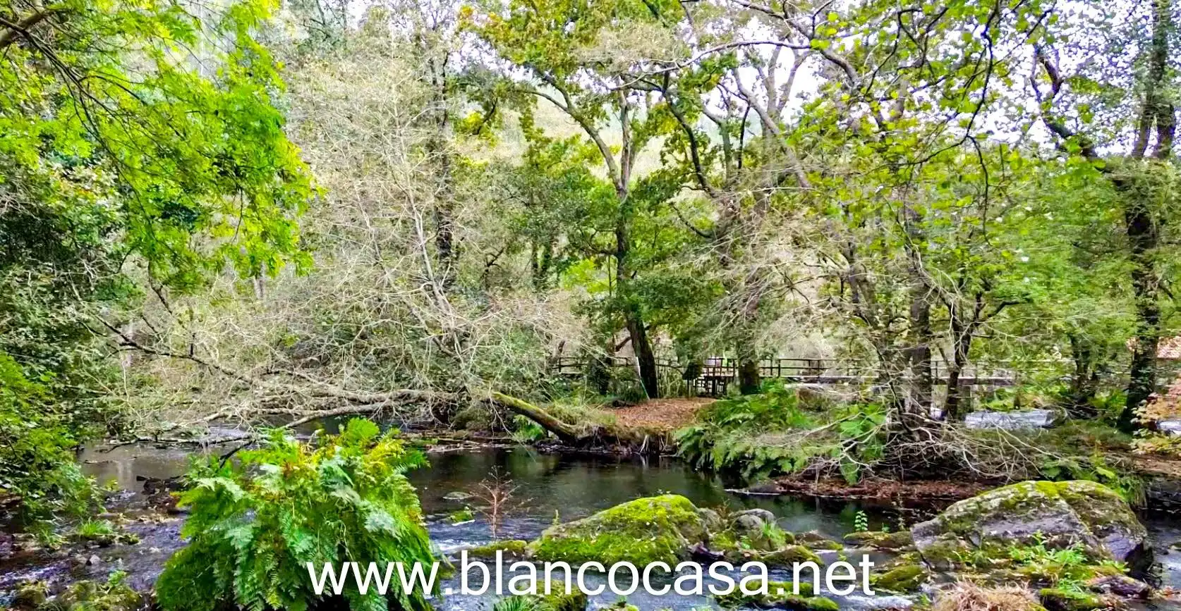 Vista exterior de Finca rústica en venta en Coristanco con Jardín privado