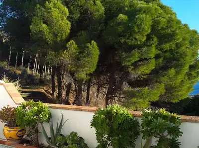 Jardí de Casa adosada en venda en Mijas amb Aire condicionat, Calefacció i Terrassa