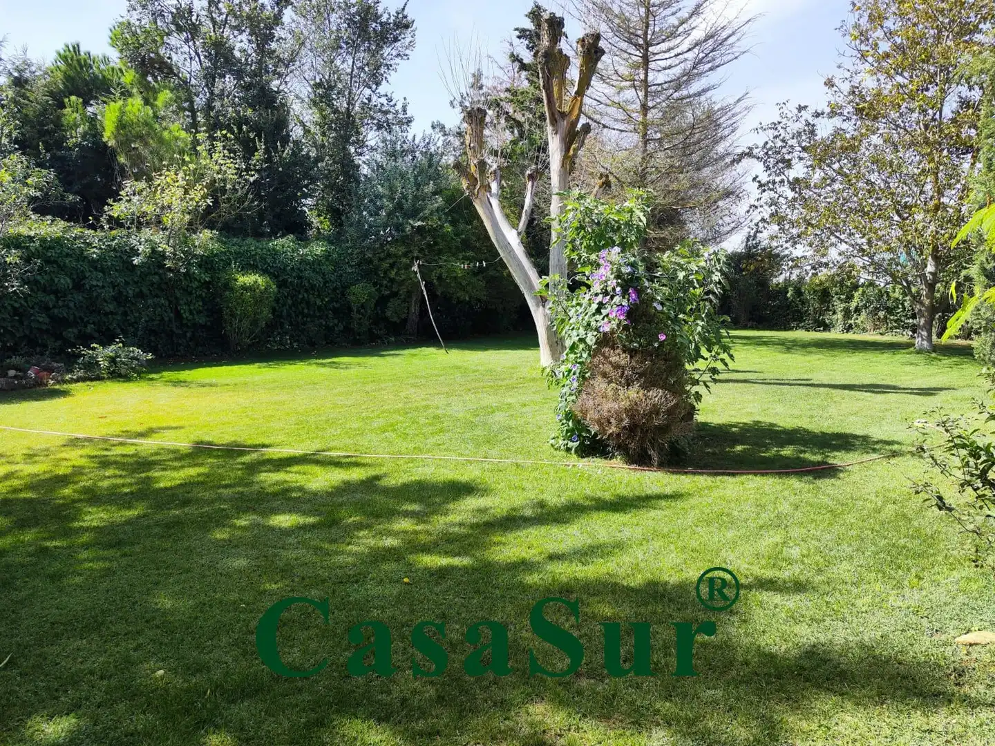 Jardí de Casa o xalet en venda en Cubillas de Santa Marta amb Calefacció, Jardí privat i Terrassa