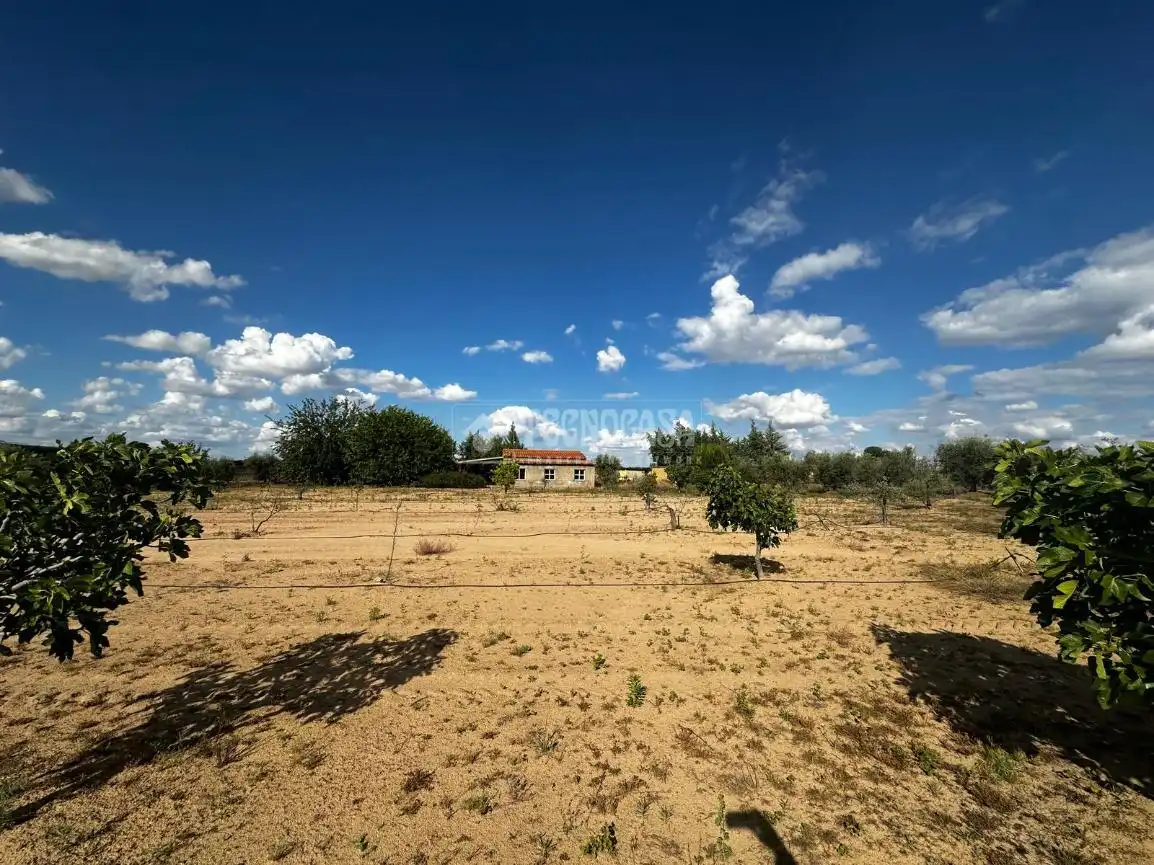 Land for sale in Guareña