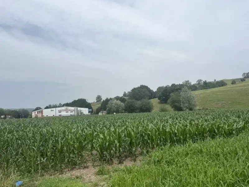 Casa o xalet en venda en Riotuerto amb Calefacció i Jardí privat