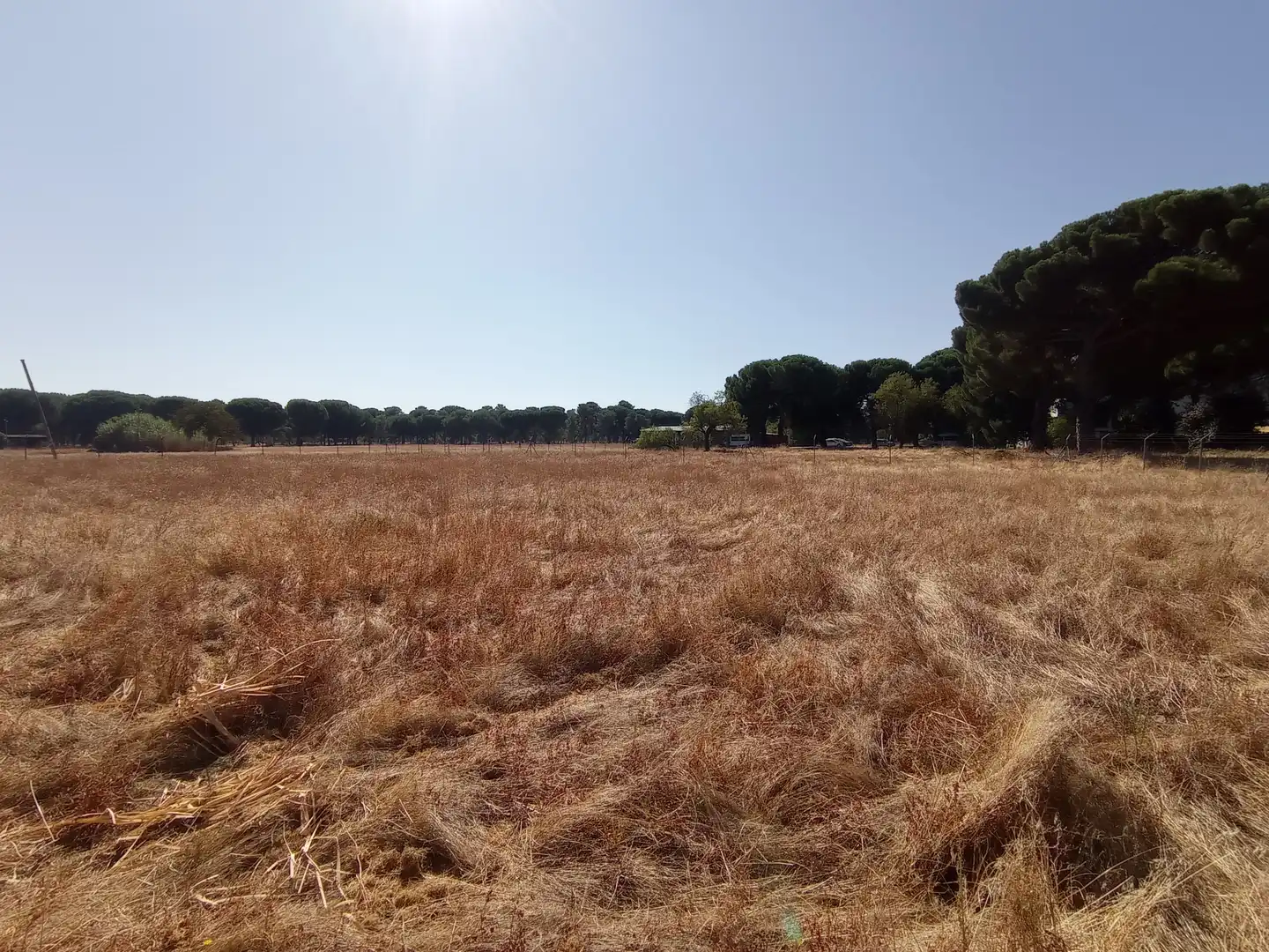 Terreno industrial en venta en Laguna de Duero