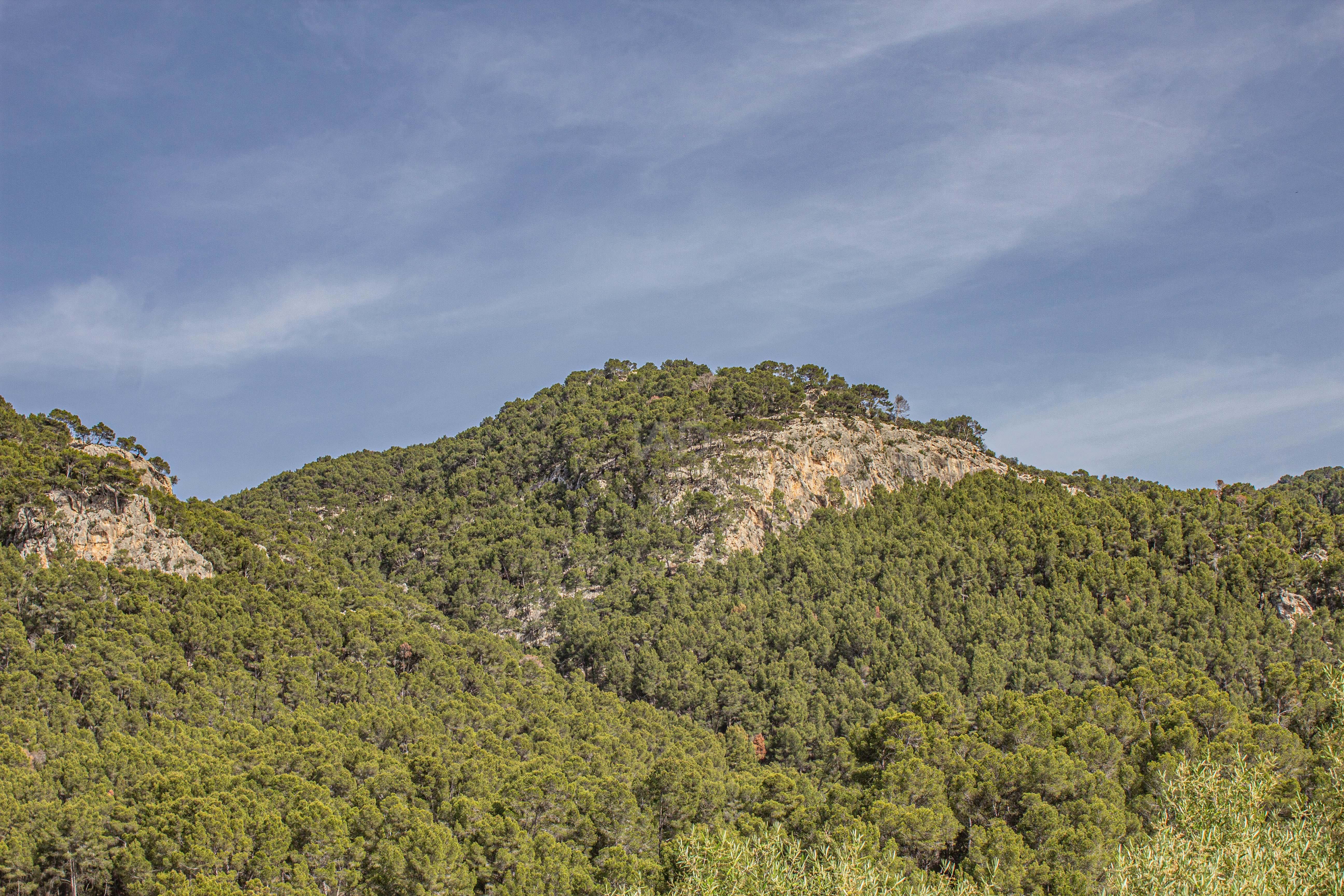 House or chalet for sale in Andratx  with Heating and Terrace