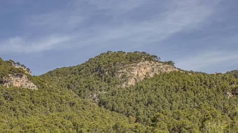 Photo 3 of House or chalet for sale in Andratx pueblo, Illes Balears