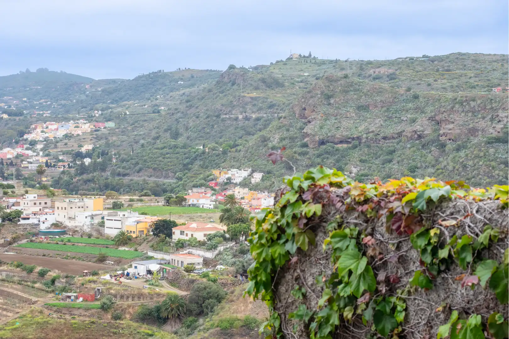 Vista exterior de Casa o chalet en venta en Santa Brígida con Jardín privado, Terraza y Trastero