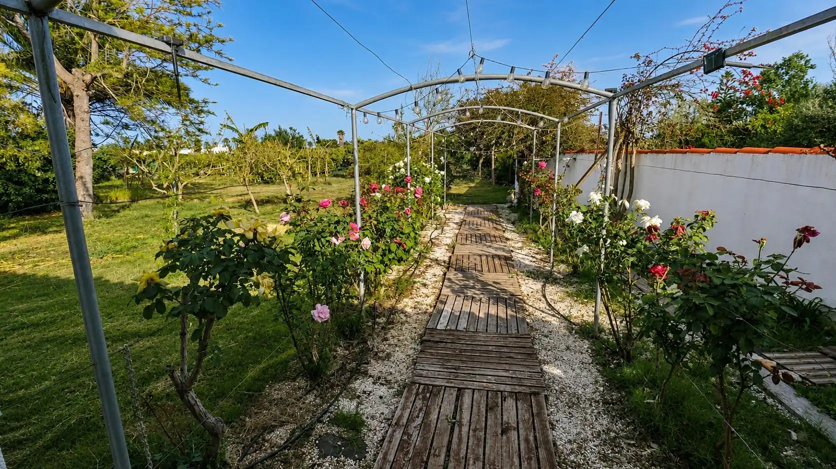 Garden of Country homes for sale in Alcanar  with Private garden and Community pool