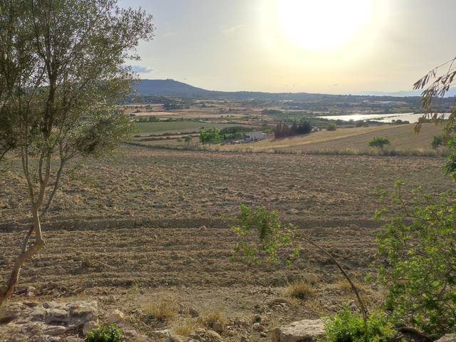 Terreno residencial en Venta en Carrer de Ciutat, 21A en Petra