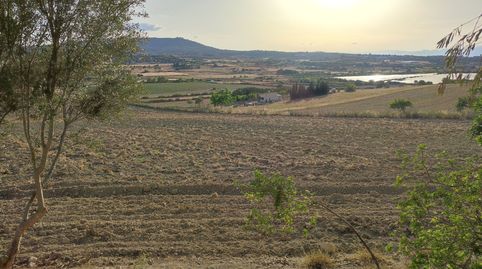 Finca con fantásticas vistas para construir vivienda unifamiliar