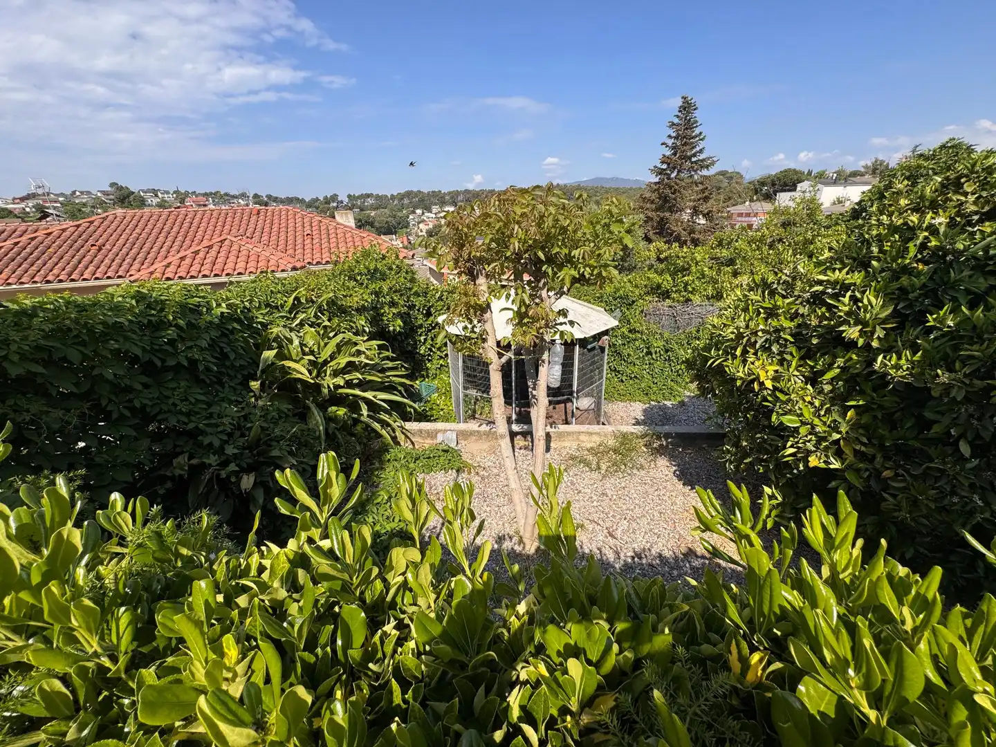 Garden of Houses for sale in Lliçà d'Amunt