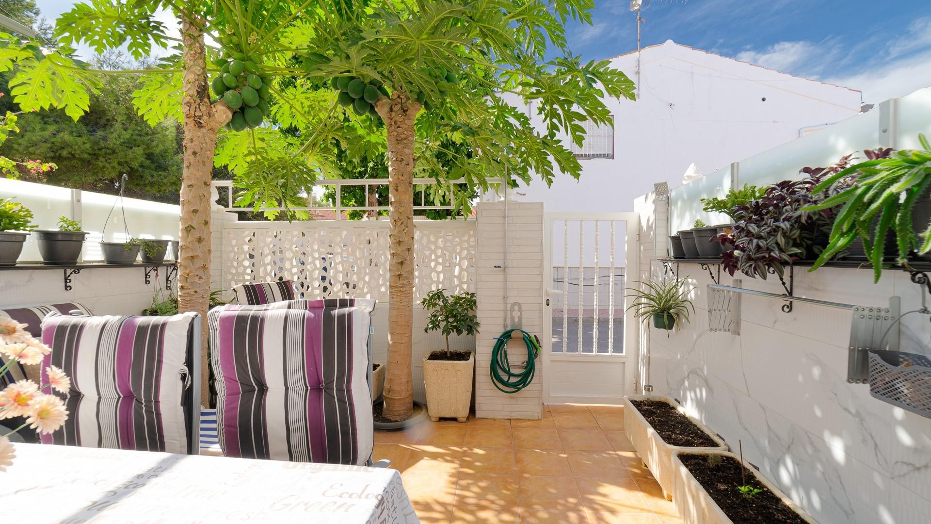 Garden of House or chalet for sale in Torrevieja  with Private garden, Terrace and Balcony