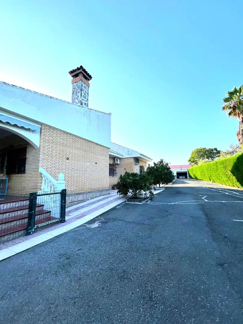 Chalet con piscina en venta en Castilblanco de los Arroyos, imagen 13
