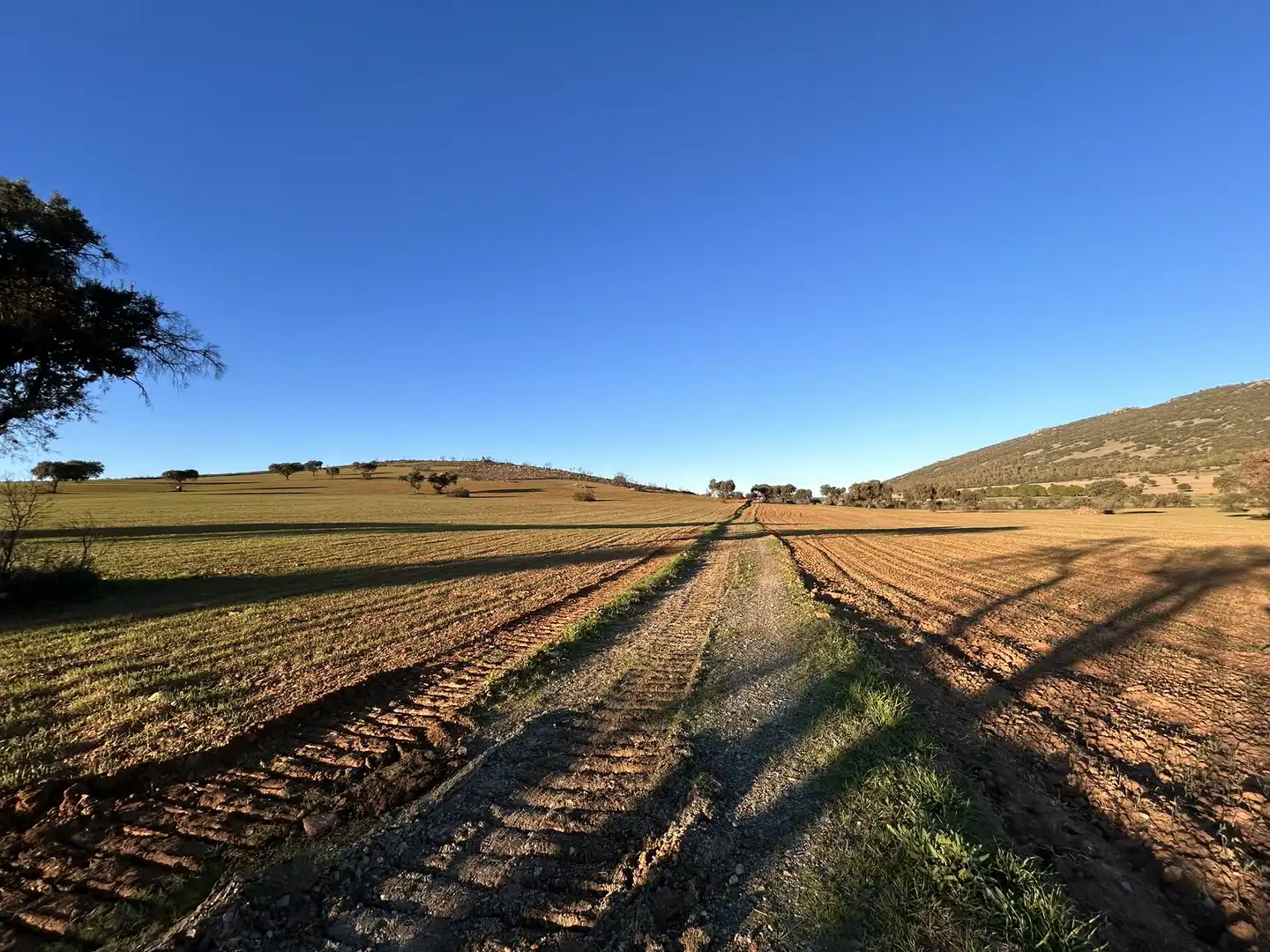 Terreny rústic en venda a Peraleda del Zaucejo, imagen 19