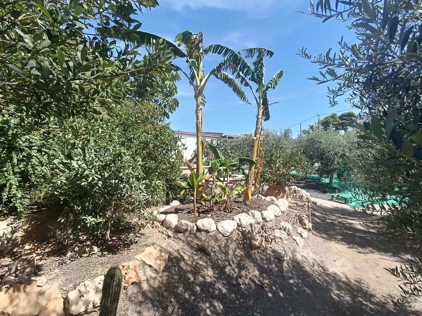 Xalet amb terrassa en venda a Tébar - Los Arejos, imagen 49