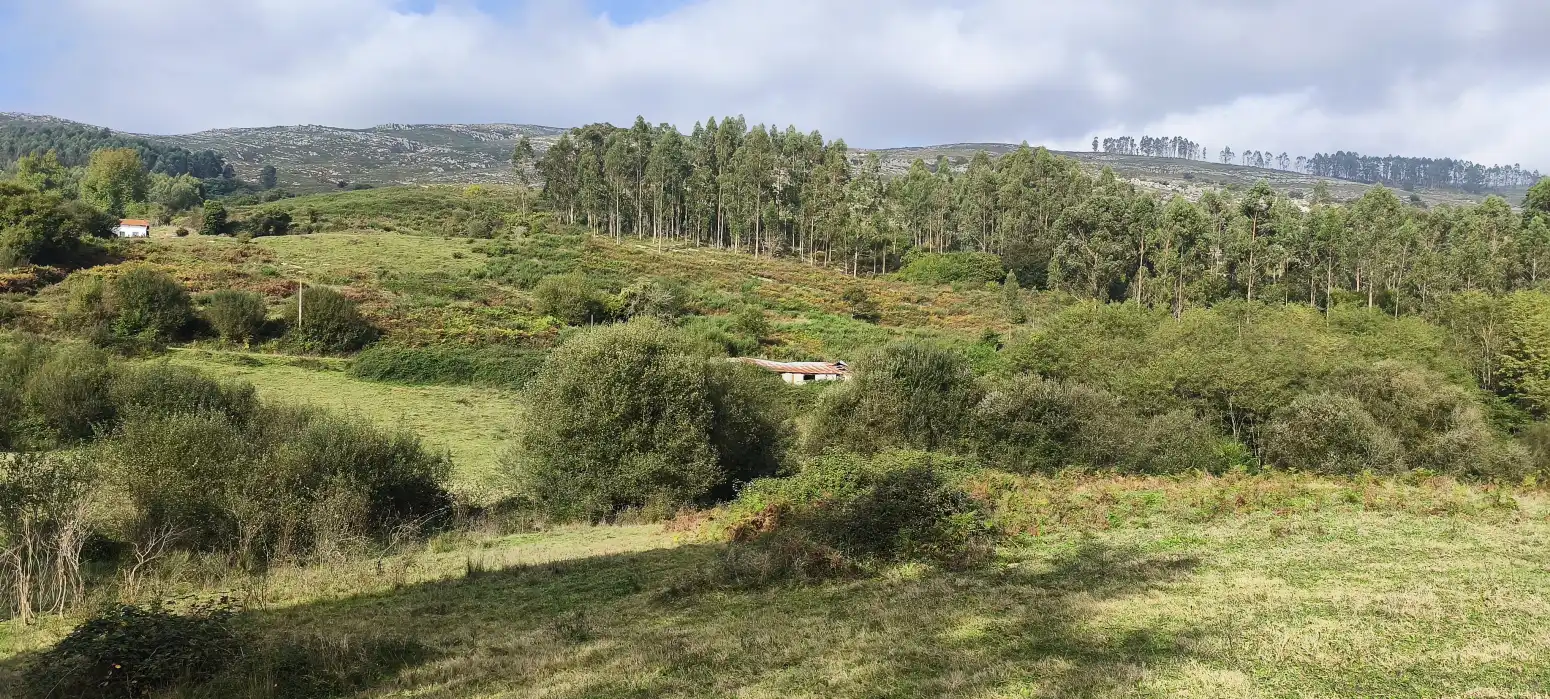 Terreny rústic en venda a Busta La - Las Viñas, imagen 4