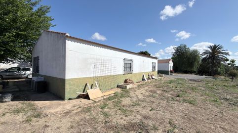 Foto 4 de Finca rústica en venda a La Orden, Huelva Capital