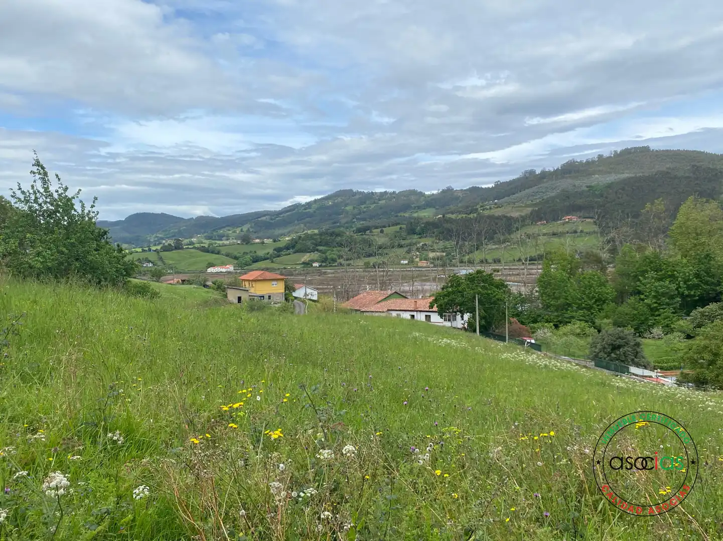 Terreno rustico in vendita a Villaviciosa - AL MUSLERA, imagen 7