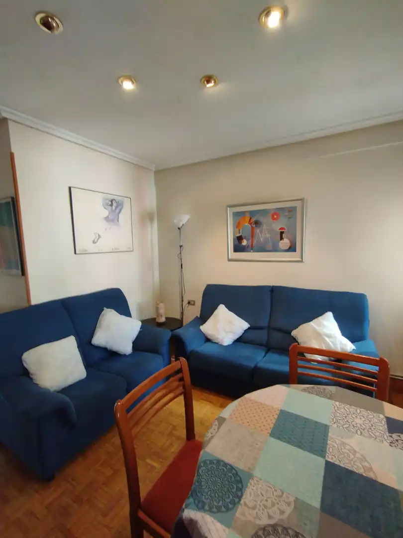 Sala d'estar de Pis de lloguer en Donostia - San Sebastián  amb Calefacció i Moblat