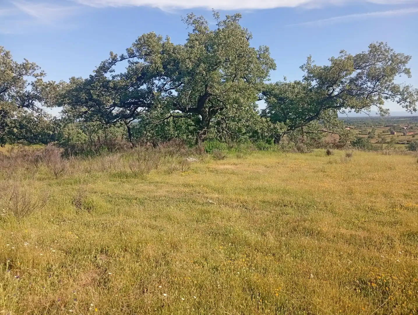 Terreni e lotti in vendita a Villanueva de la Vera, imagen 67
