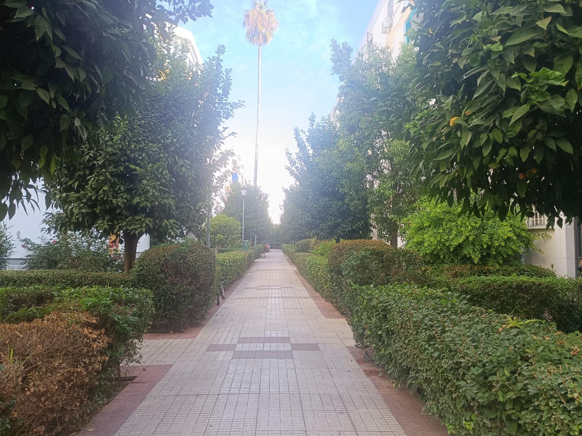 Exterior view of Flat to rent in  Sevilla Capital  with Air Conditioner