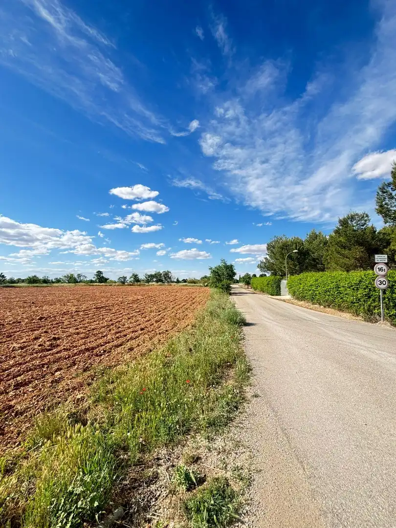 Rural land for sale in Valdepeñas, imagen 3