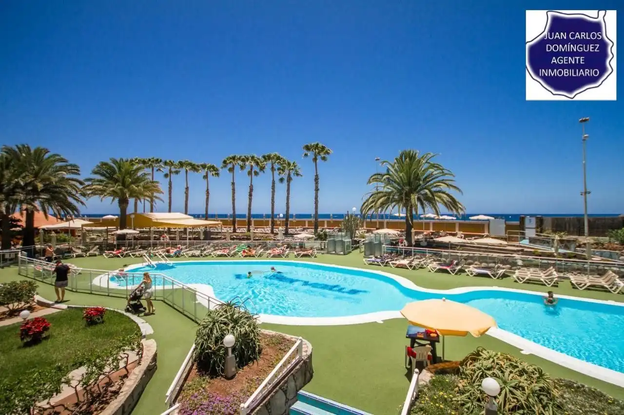 Swimming pool of Apartments for rent in Mogán  with Terrace, Furnished and Community pool
