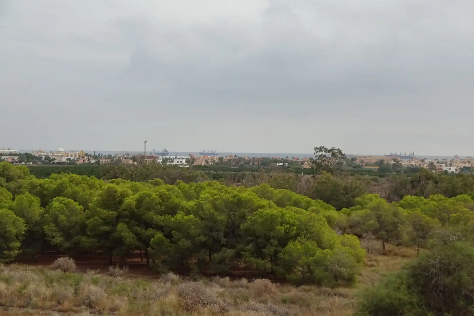 Apartment with terrace for sale in Ronda del Generalife 2, imagen 41