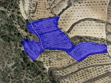 Terreny rústic en venda a Algayat. Poligono 21 Parcela 585-586, 585-586