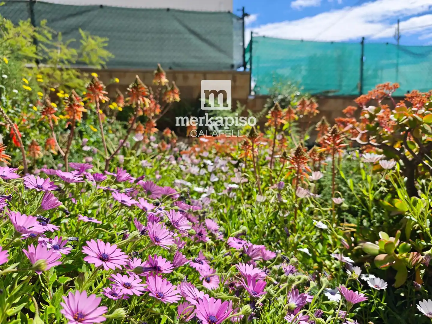 Jardí de Casa o xalet en venda en Bellvei amb Calefacció, Jardí privat i Terrassa