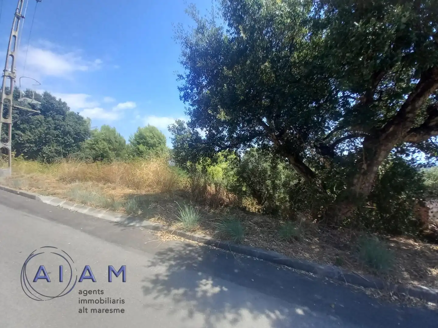 Lands and plots for sale in Palafolls, imagen 12